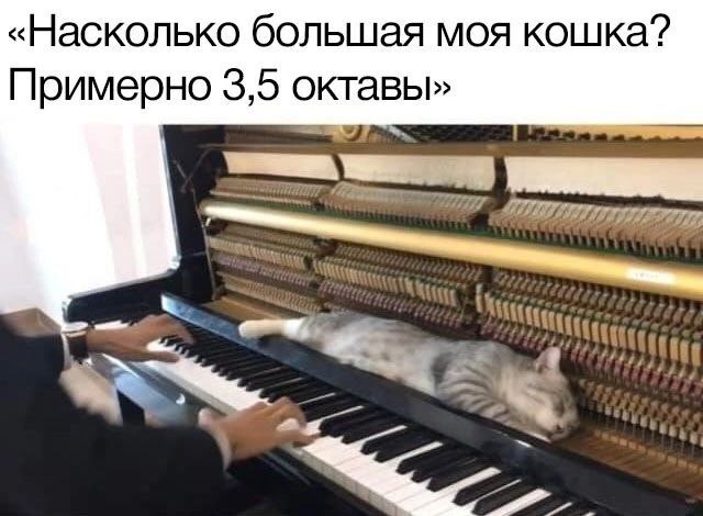 Веселые картинки в пятницу (16.01)