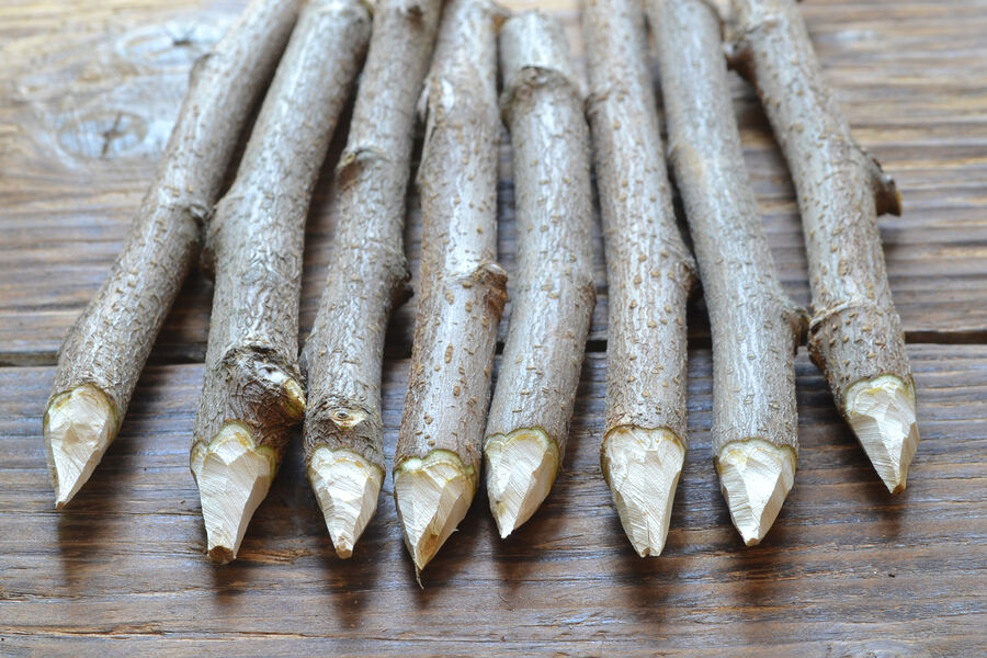 В России подскочили продажи осиновых кольев