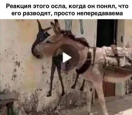 Картинки для деградации 156 (разной степени свежести)