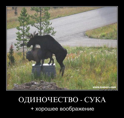 Весёлые картинки. Разбавим будни