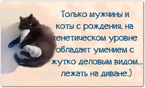 Смешные комментарии из социальных сетей.