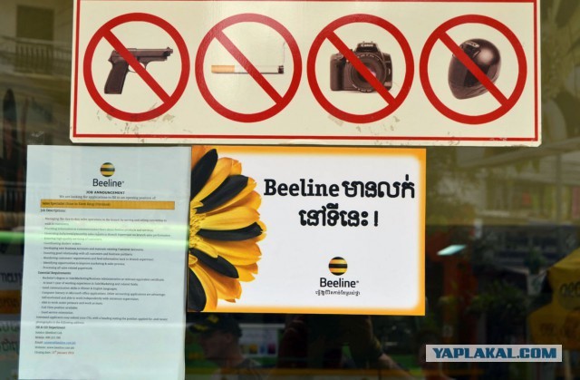 18 самых странных запретов со всего света