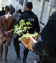 Как бразильцы выселяли наркоторговцев