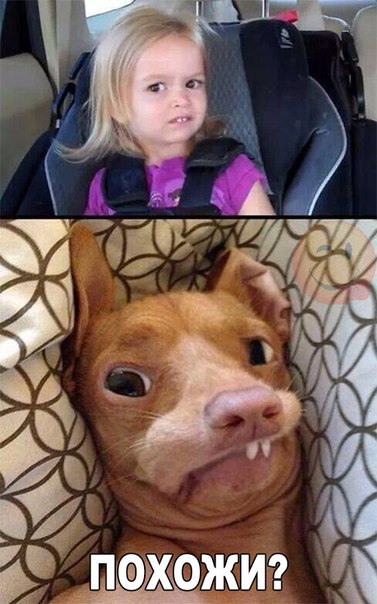 Ужасы и приколы из соцсетей 18+