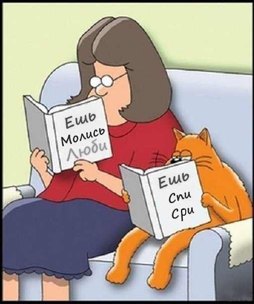 Не хочу убирать за котиком