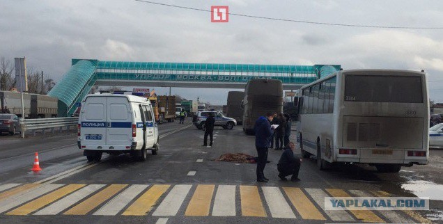 Автобус насмерть сбил трех девочек в Волгоградской области