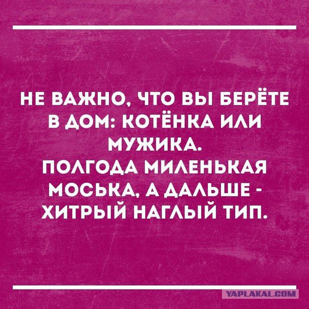 Небольшая подборка забавных картинок