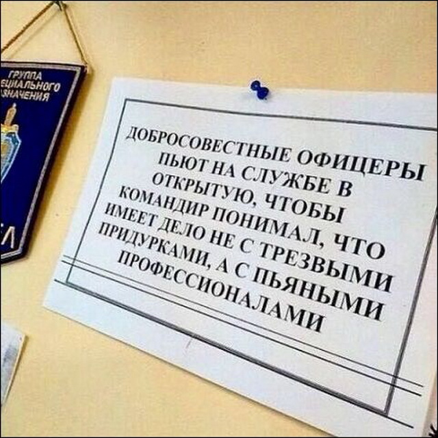 Подборка безудержного веселья