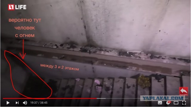 Востриков показал первые секунды эвакуации с залов кинотеатра