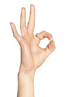 Актрису Наталью Бочкареву задержали в Москве с 0,69 грамма кокаина в трусах