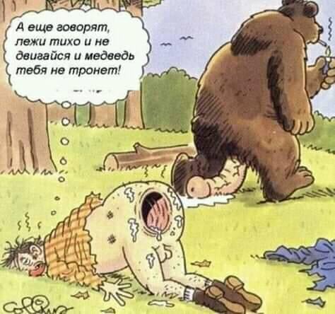 Бредзона в картинках 26.11.2019