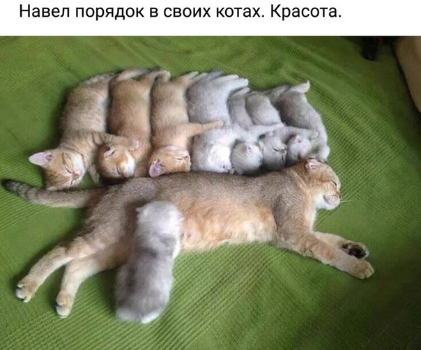 Немного картинок для настроения 29.01.20