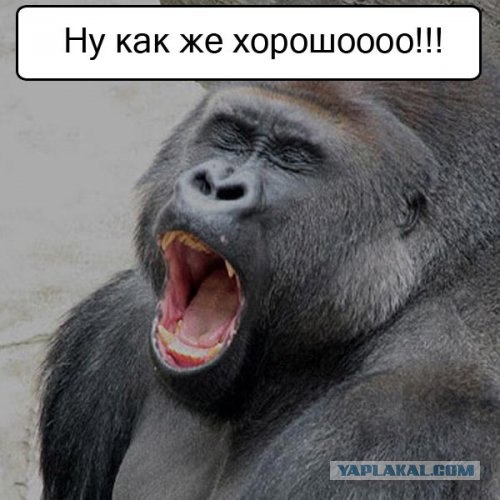 Спорим, зевнешь?))) (28 фото)