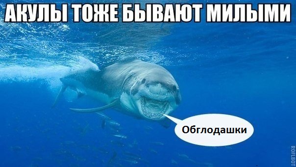 Чуток картинок 07.04.20
