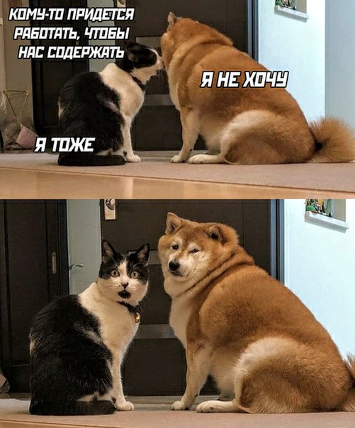 Немного картинок для настроения 18.07.20