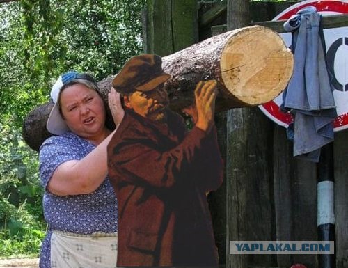 фотожаба: с бревном