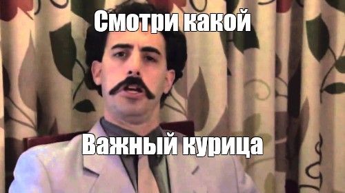 Велоцираптор: Голливуд создал чушь. Мифы и правда об умных «супер хищниках»