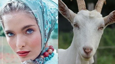 А вы заметили, что...