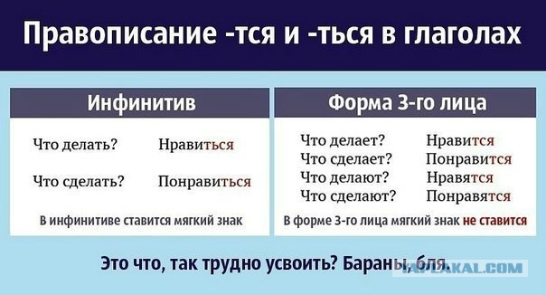 «Возможно твой кругозор расшириТЬся». Во Владимирской области чиновница посоветовала депутату «взять и прочитать закон»