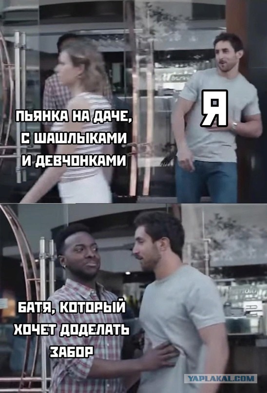 Весёлый полтишок 8.06.21