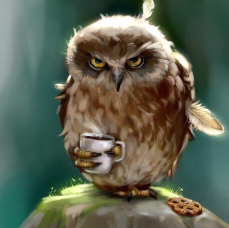 В Городе Сов