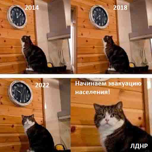 В ДНР объявили всеобщую мобилизацию