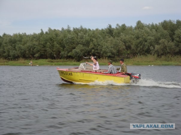 Включи рыбалка на волге