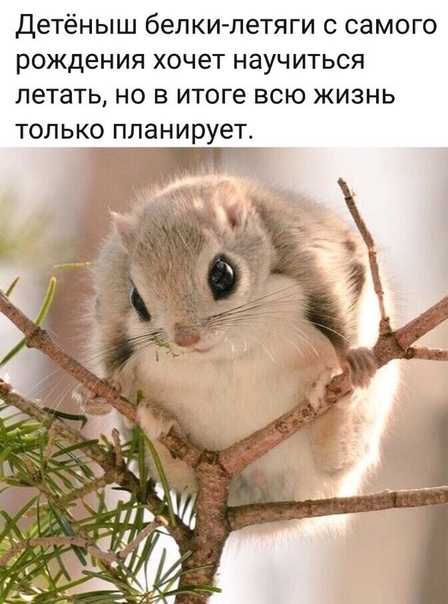 Картинки и мемы для настроения - 19