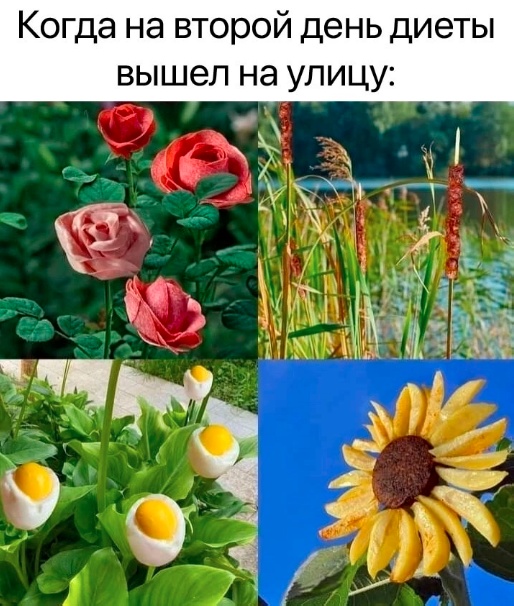 Забавные комментарии из социальных сетей (24.04.23)