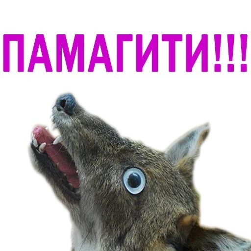 Дюмин А.Г. - новый министр обороны РФ