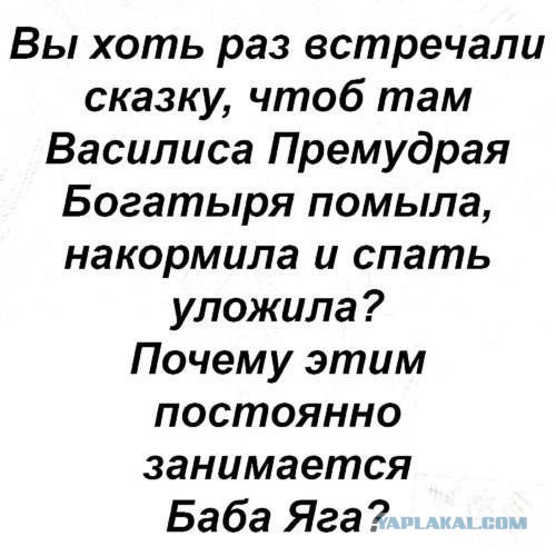 Перлы 30.01.24