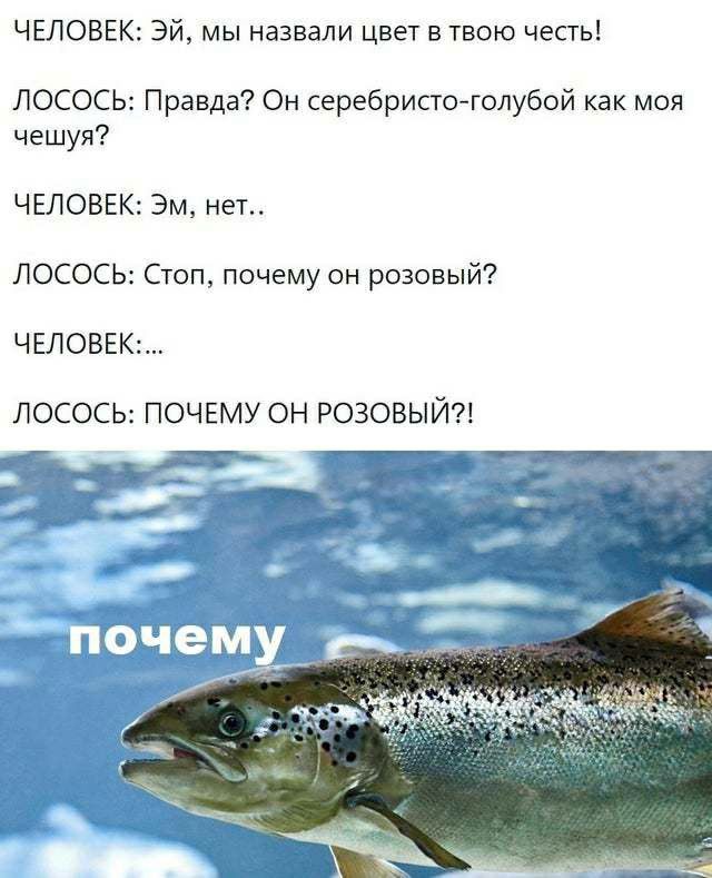 Когда веганам хочется лосося, но в голове же беда совсем