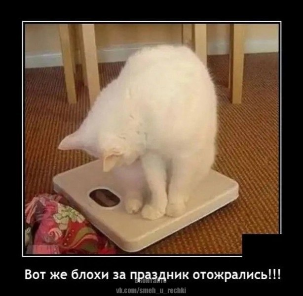 Картинки на вечер понедельника
