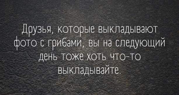 Сходил на тихую охоту