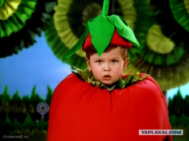 В последнюю осень. Читаем стихи