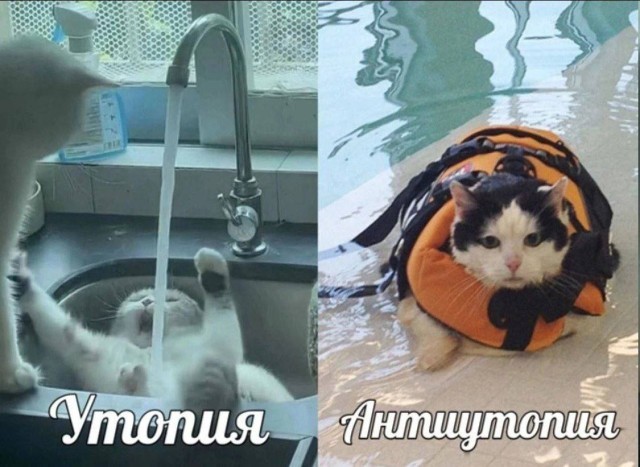 Хотите пустоты? Дарю вам частичку!