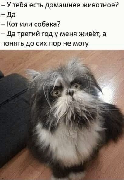Воскресные картинки