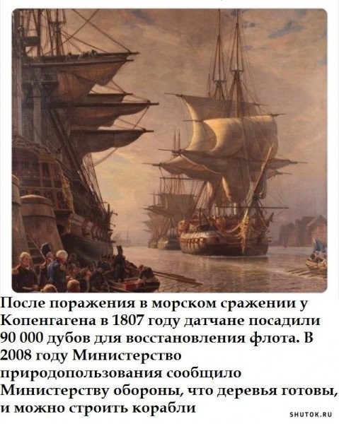 Картиночки, баянчики 11 мая