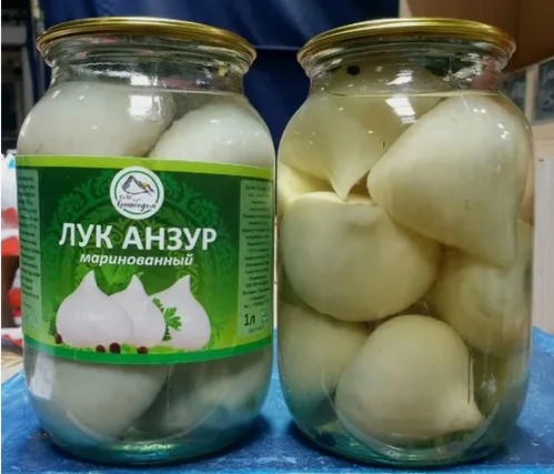 Помогите опознать растение