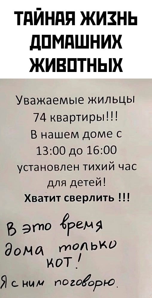 Картиночки, баянчики 18 июня