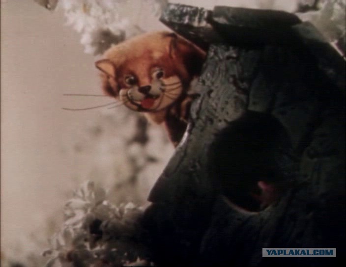 про кота васю. про кота васю. смешной кот вася. про кота васю. кот вася и котовасия.