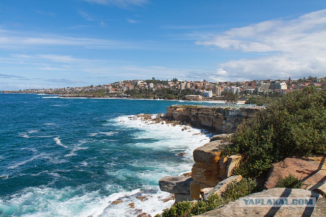 Австралия: Сидней и его окрестности