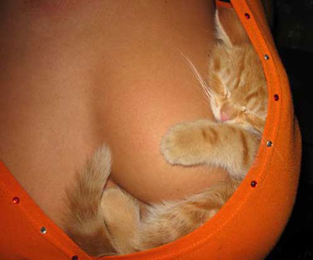 Я не нюхал кокс )