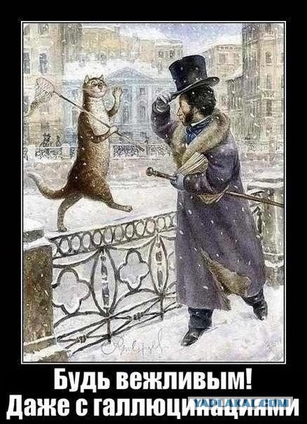 Смешные картинки и комментарии