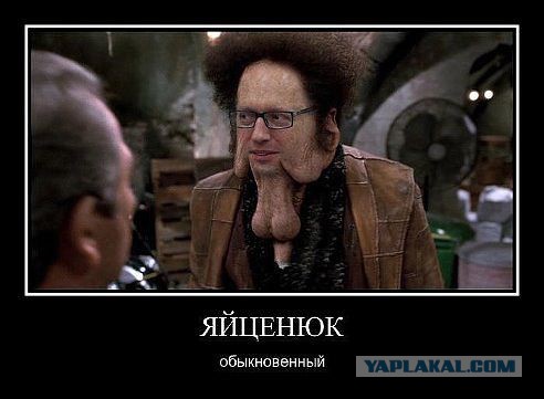 Коричневые и белые яйца