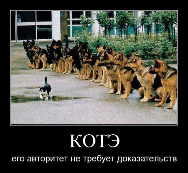 Вяжем прямо на пороге
