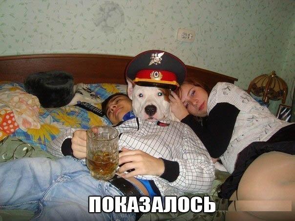 Весёлое из сети
