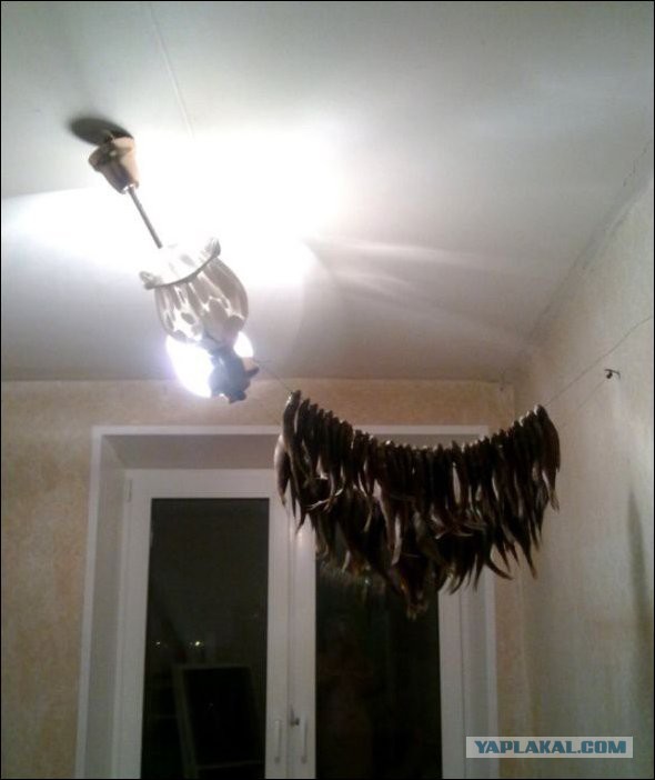 Тем временем в России...