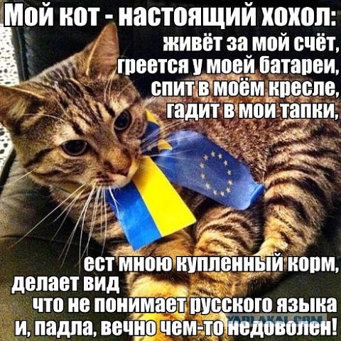 Я благодарен Майдану за Европейскую жизнь