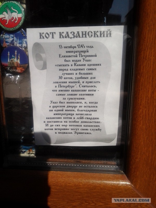 Казань. Позитивные моменты глазами туриста